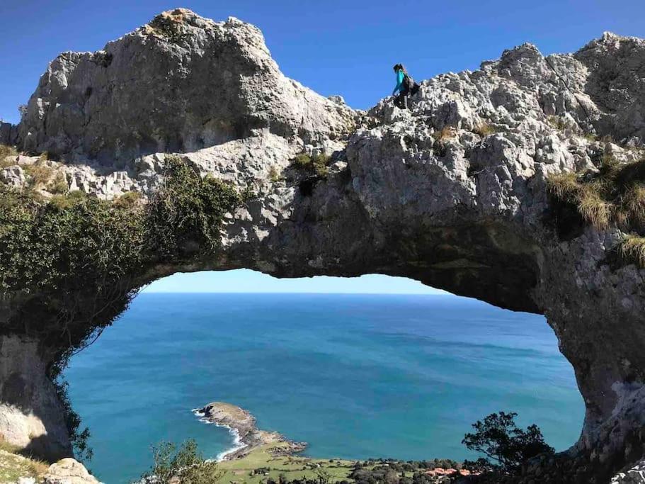 林皮亚斯Precioso Atico Con Parking Privado. Vistas Al Rio公寓 外观 照片